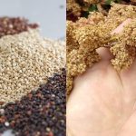 Kvinoja – produkts, kurš jāiekļauj ēdienkartē!