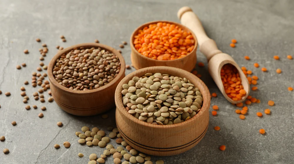 Trīs veidu lēcas koka traukos – zaļās, brūnās un sarkanās – uz pelēka galda