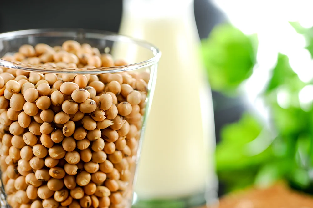 Sojas izoflavoni: Zinātniski pierādīti ieguvumi veselībai