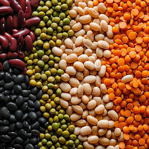 Dažādu krāsu un veidu pākšaugi – pupiņas, zirņi un lēcas tuvplānā